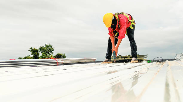 Roof Moss and Algae Removal in Federal Heights, CO