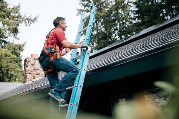 Siding in Federal Heights, CO